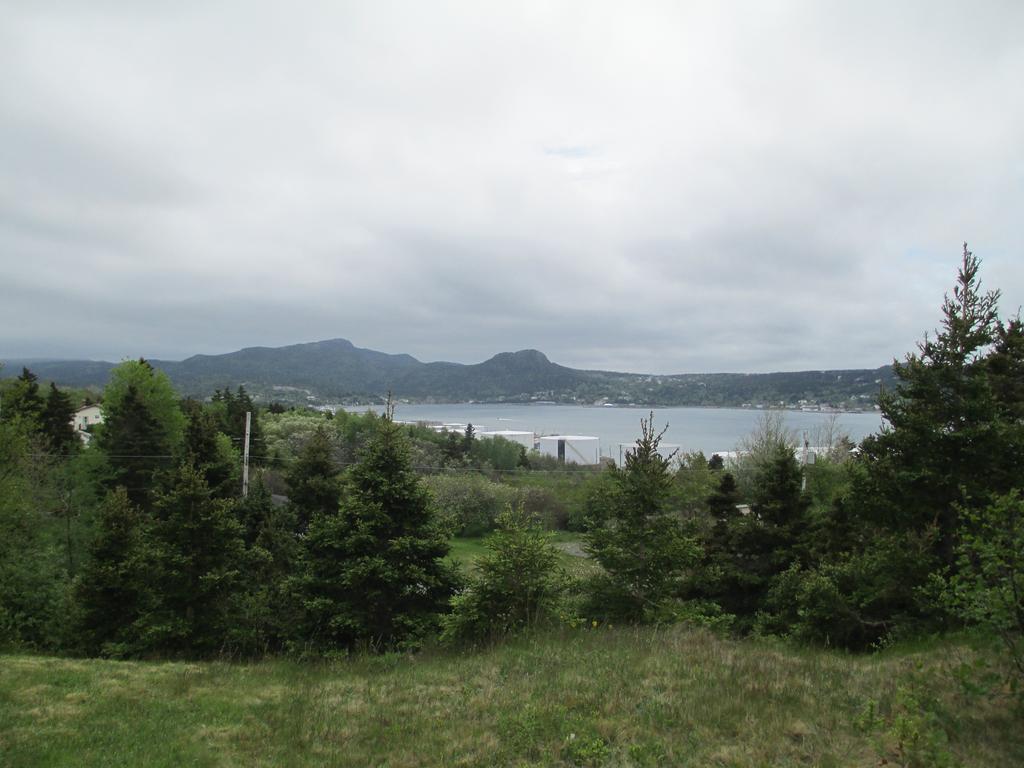 Comerford'S Ocean View Suites Holyrood Εξωτερικό φωτογραφία